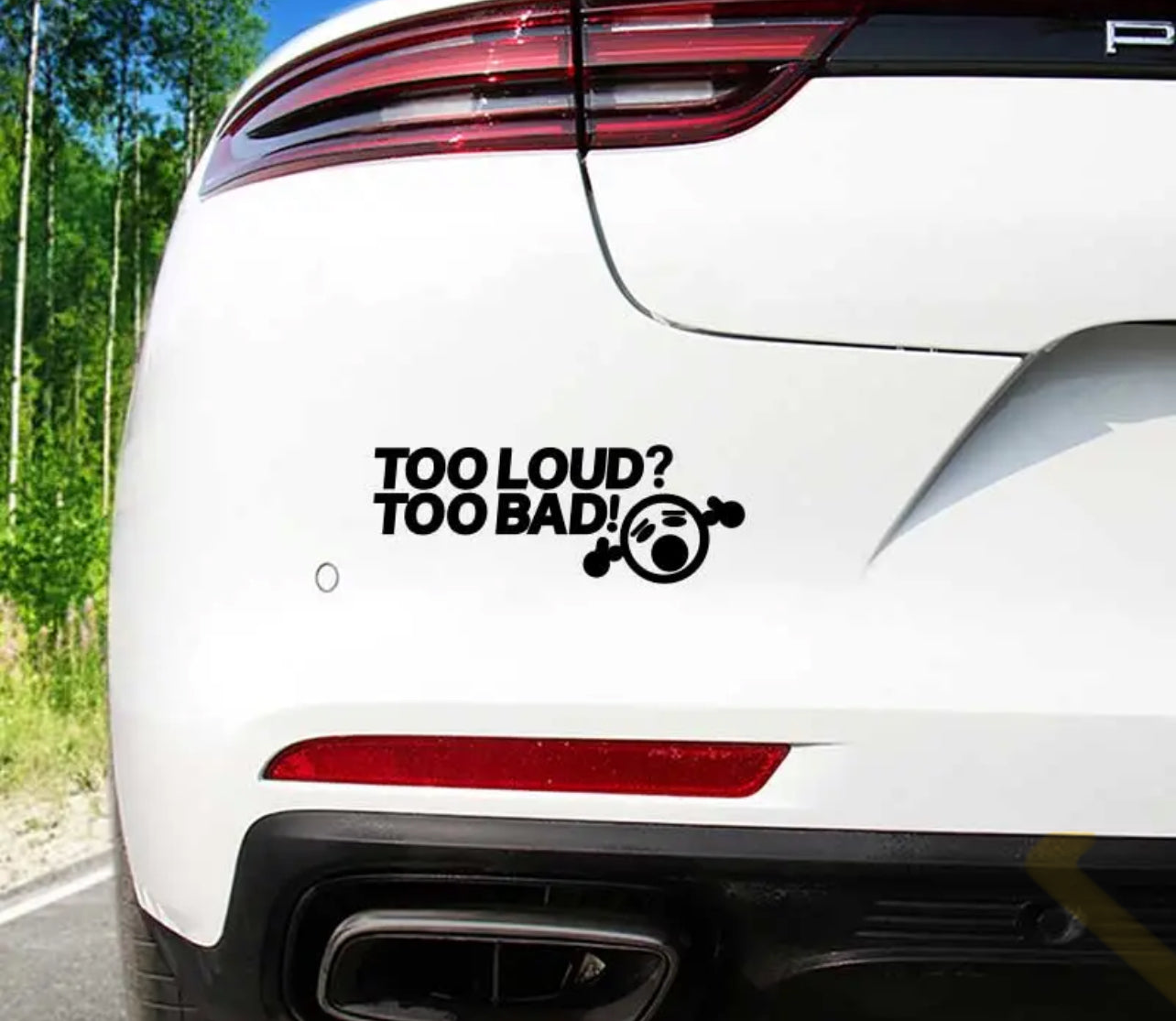 Too Loud Too Bad Vinyl Sticker (All Colours & Sizes)