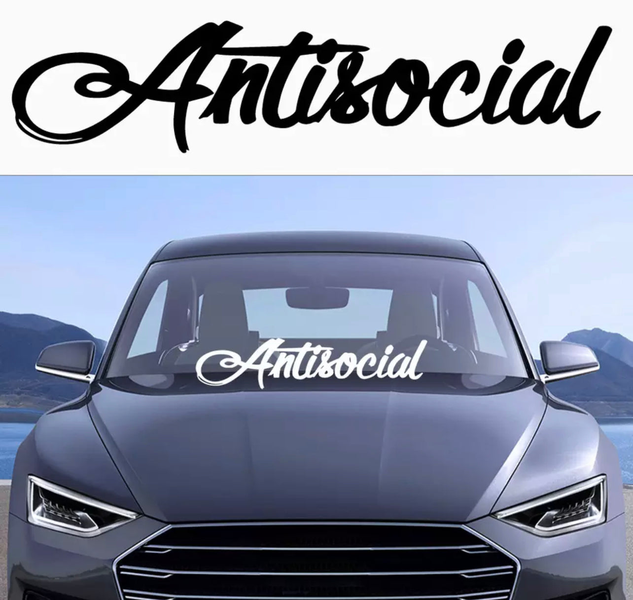 Antisocial Car Sticker (All Colours & Sizes)