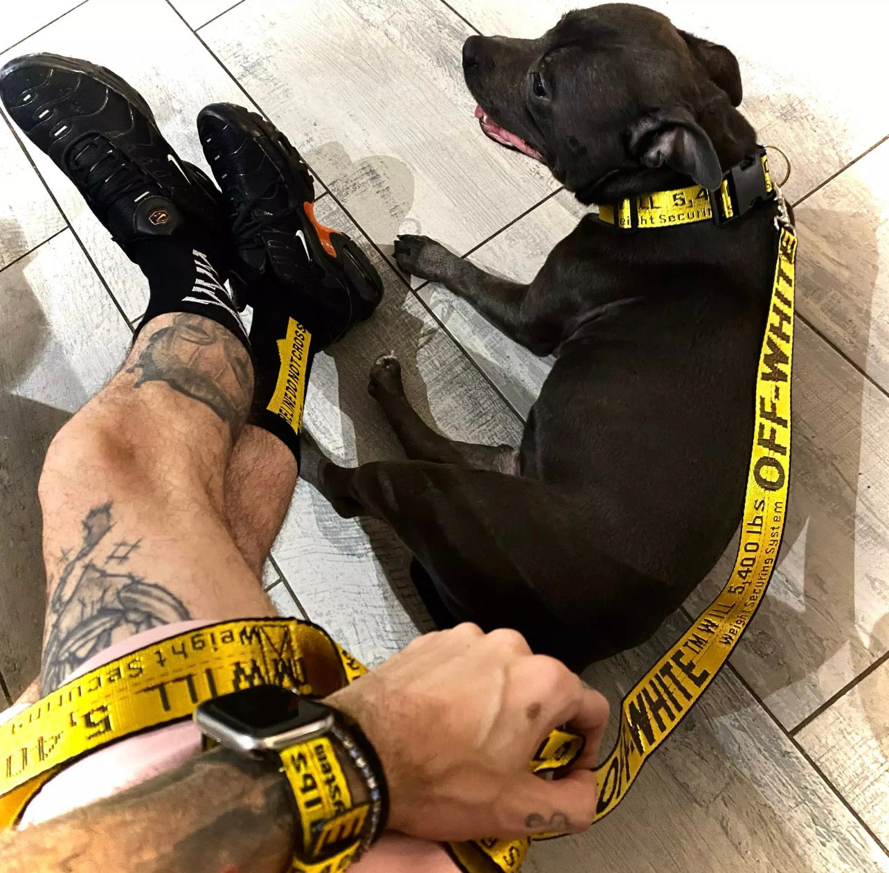 Off-White Dog Collar & Lead Set